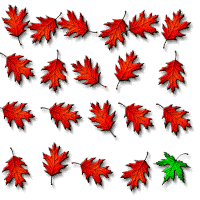 twenty-one leaves arranges in a square, twenty are red and one is green