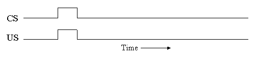 graph showing that the CS and US onsets are occurring at the same time