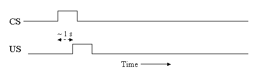 graph showing that CS onset precedes US onset by one second