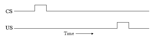 graph showing that CS and US onsets are separated by a time interval in which neither stimulus is present