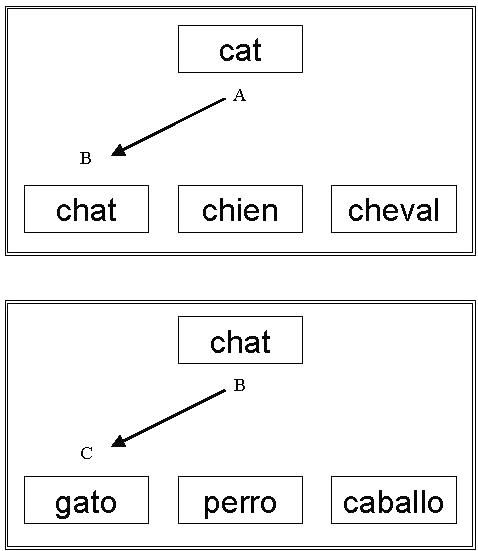 Panel 1: sample stimulus is cat, three comparison stimuli are chat, chien, cheval; and the trained relation is cat - chat.
                     Panel 2: sample stimulus is chat, three comparison stimuli are gato, perro, caballo; and the trained relation is chat - gato.