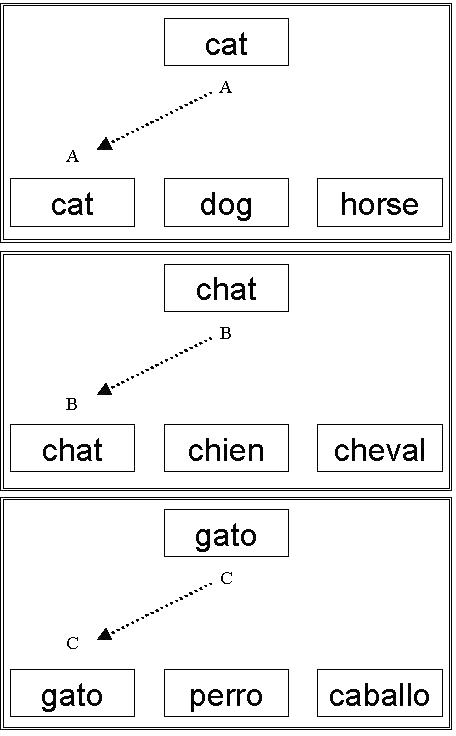 Panel 1: sample stimulus is cat, three comparison stimuli are cat, dog, horse; and the untrained reflexive relation is cat - cat.
                    Panel 2: sample stimulus is chat, three comparison stimuli are chat, chien, cheval; and the untrained reflexive relation is chat - chat.
                    Panel 3: sample stimulus is gato, three comparison stimuli are gato, perro, caballo; and the untrained reflexive relation is gato - gato.