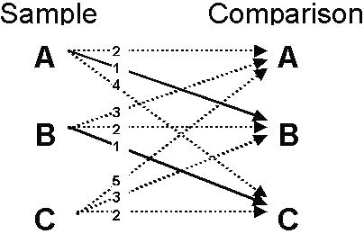Diagram shows two columns: Sample and Comparison; with letters A, B, and C in each column. 
                    Sample 'A' has: a dashed reflexivity arrow to Comparison 'A', a solid trained arrow to Comparison 'B', and a dashed transivity arrow to Comparison 'C'. 
                    Sample 'B' has: a dashed symmetry arrow to Comparison 'A', a dashed reflexivity arrow to Comparison 'B', and a solid trained arrow to Comparison 'C'. 
                    Sample 'C' has: a dashed equivalence test arrow to Comparison 'A', a dashed symmetry arrow to Comparison 'B', and a dashed reflexivity arrow to Comparison 'C'.